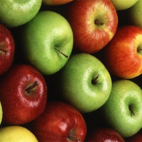 Program zaštite jabuke